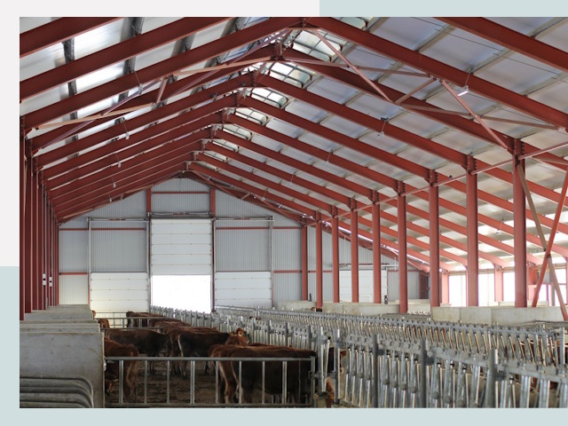 Строительство коровников в Жигулёвске