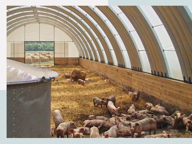 Строительство свинарников в Жигулёвске