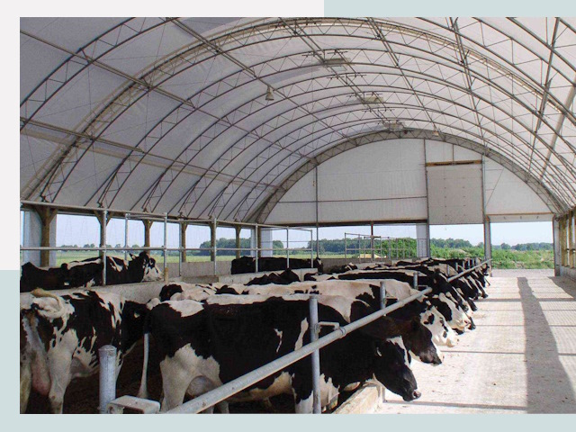 Тентовые коровники в Жигулёвске